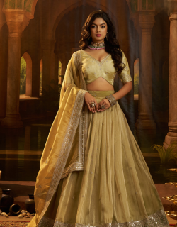Regal Radiance Lehenga Set with Embroidered Elegance